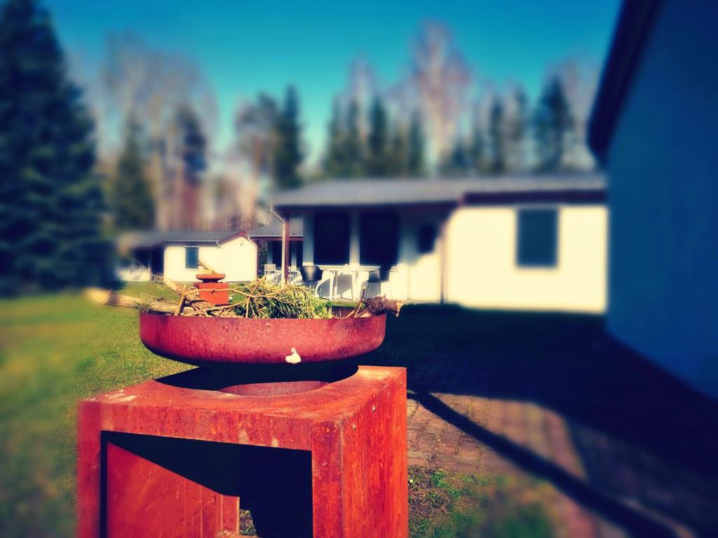 Ein Pflanzer mit einer Pflanze, die auf einem Stand sitzt. in der Unterkunft Bungalow Grünewalder Lauch in Lauchhammer