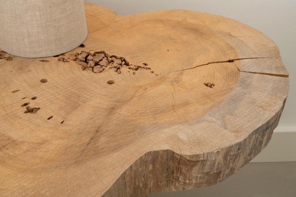 Cedros Nature House - 17