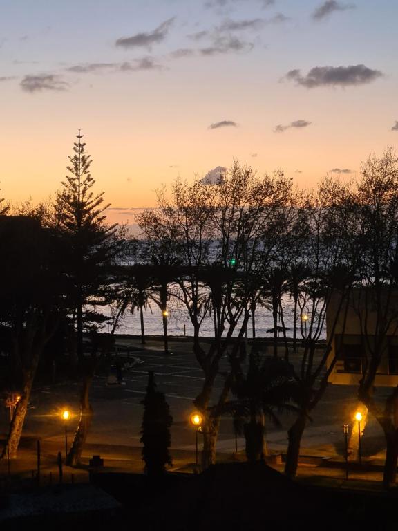 einen Sonnenuntergang in einem Park mit Bäumen und Lichtern in der Unterkunft Machico Beach Comfort in Machico