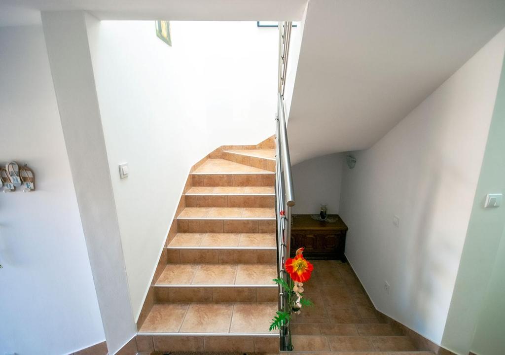 Fotografia z galérie ubytovania Apartmant Linda v destinácii Vinkuran