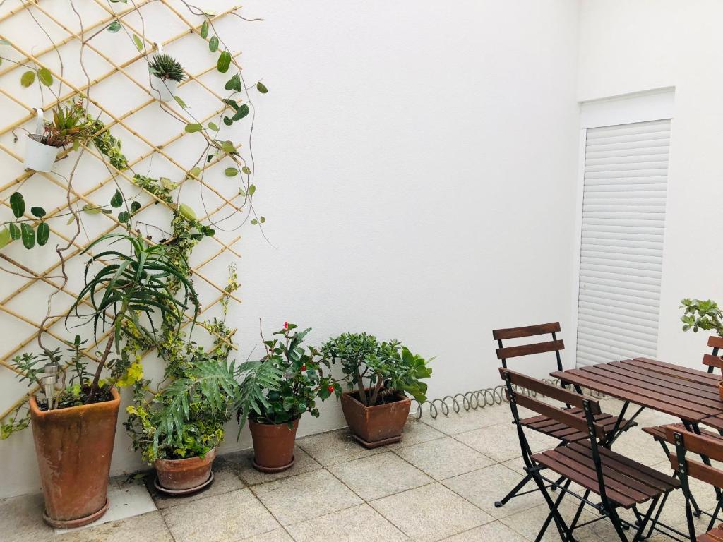 アヴェイロにあるCasa Claraの鉢植えの植物とテーブルと椅子が備わるパティオ