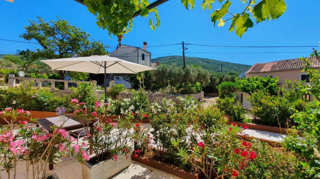 Zahrada ubytování Apartmani Tanja