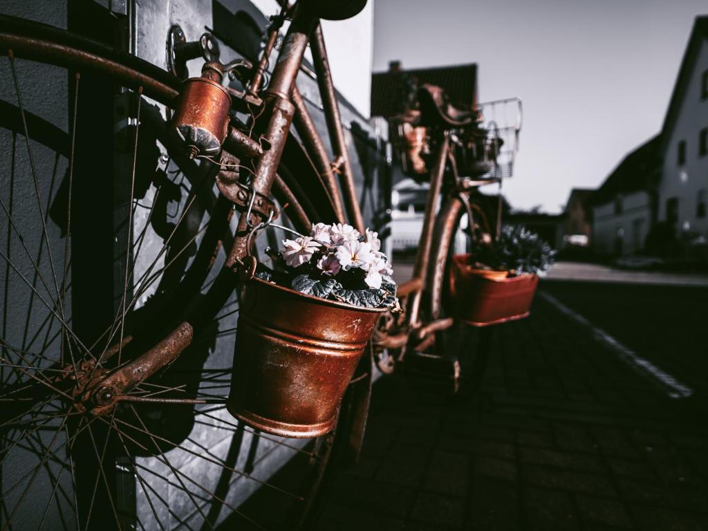 Fotografie z fotogalerie ubytování Gästehaus J. Baumann v destinaci Rust