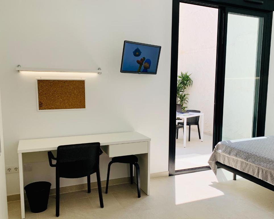 Student accommodation STUDIO Palomar - PalomarGroup, Alfara ...