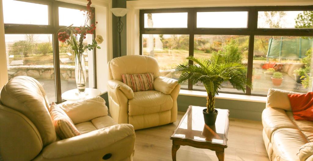 a living room with two white chairs and a potted plant at Ben Breen House B&B in Clifden