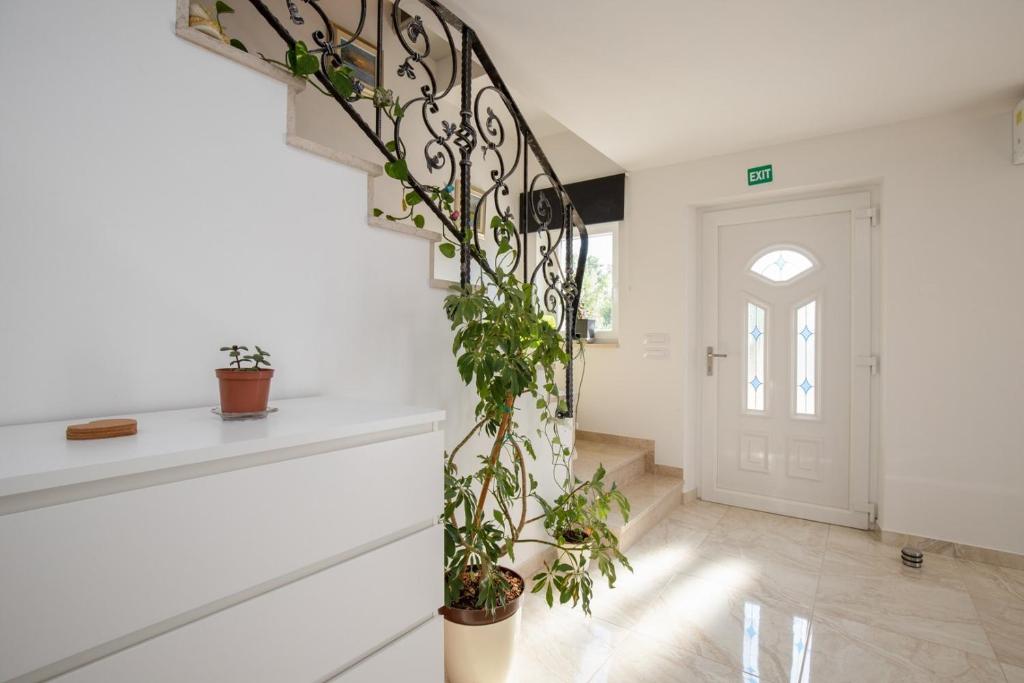 Zdjęcie z galerii obiektu Holiday Home Fradelani w mieście Žminj