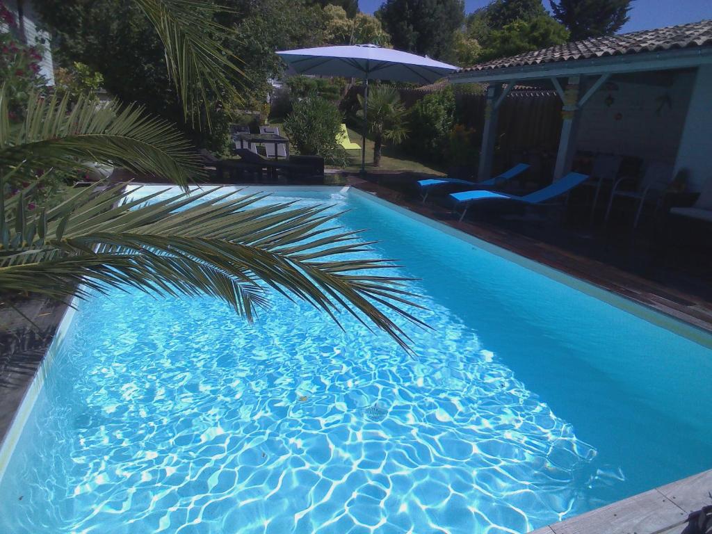 una piscina azul con una palmera en ella en Les Arums de Fondeminjean en Vertheuil-en-Médoc