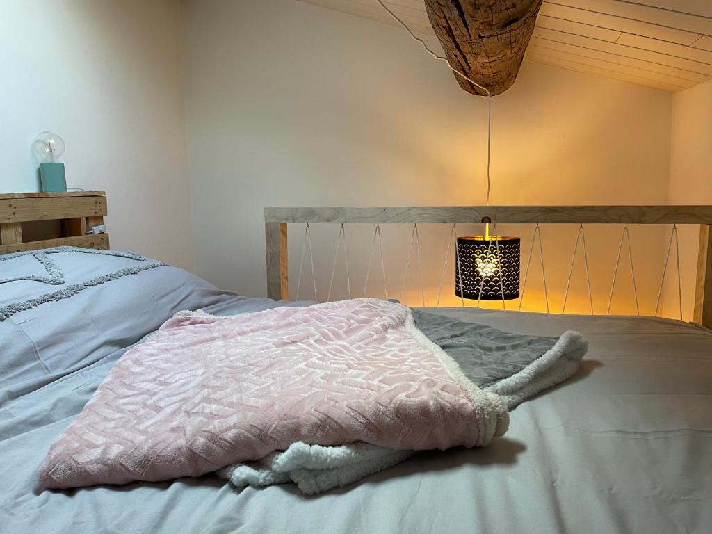 un lit avec une couverture rose et une lampe dans l'établissement Bel appartement chic et cosy., à Martres-de-Veyre