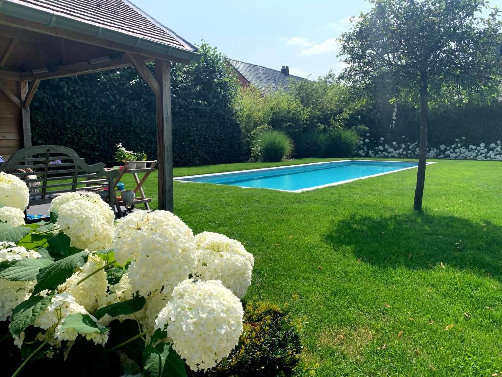 Bazén v ubytování B&B 't klein GELUK nebo v jeho okolí