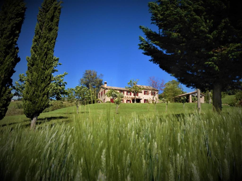 uma casa no meio de um campo de relva em Quelli del Picchio em Cupramontana