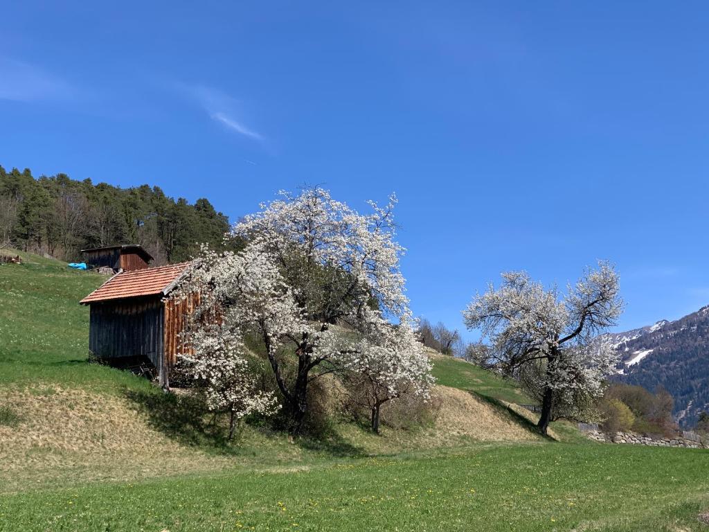 Príroda v okolí apartmánu