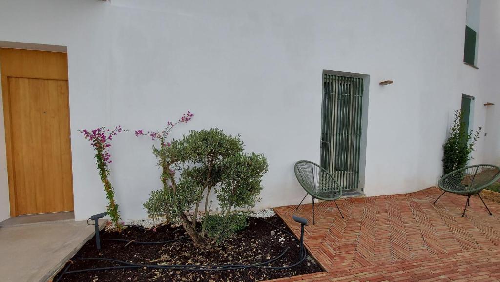 Vonkajšia záhrada v ubytovaní Patio del Lino