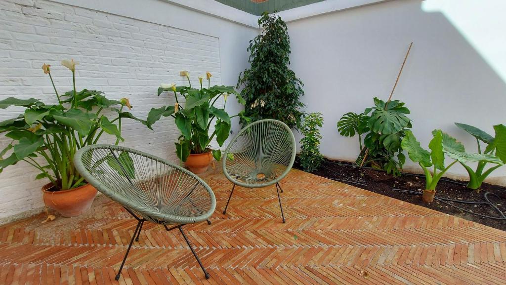 Vonkajšia záhrada v ubytovaní Patio del Lino