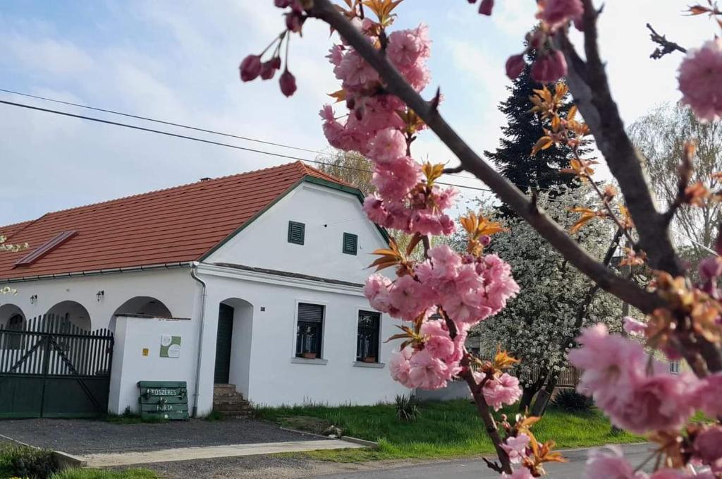 Uma casa branca com flores cor-de-rosa à frente. em Fűszeres Porta em Mihályfa