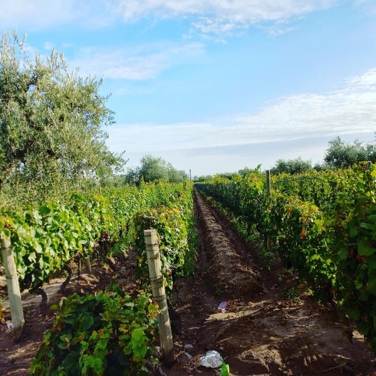 La Pausa, Departamentos y Casas - Appartamento Con Terrazza