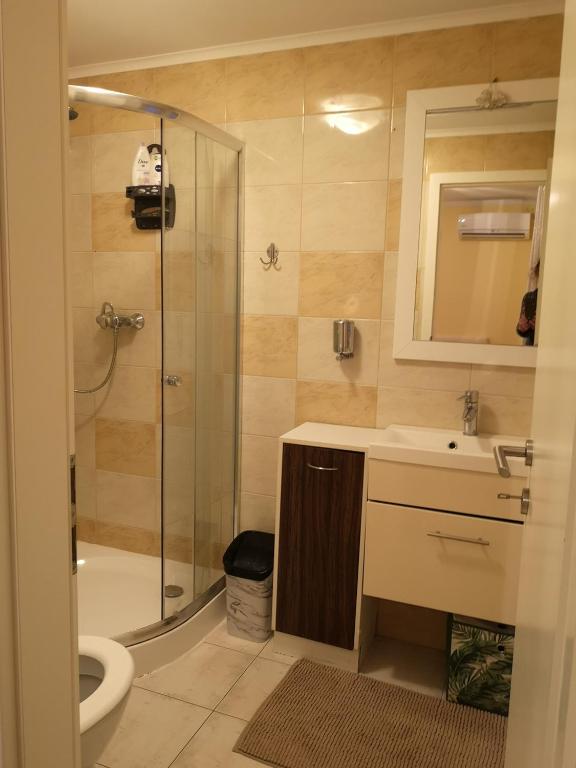 Koupelna v ubytování Apartman Sana