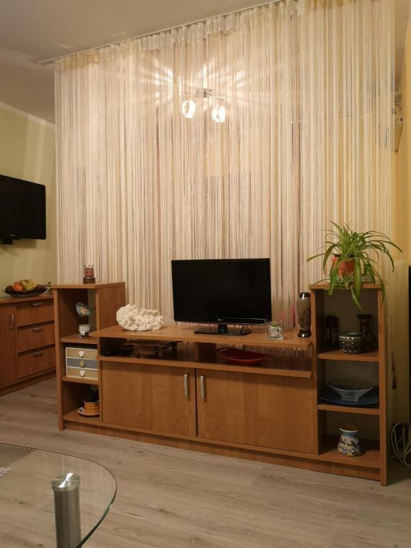 TV a/nebo společenská místnost v ubytování Apartman Sana