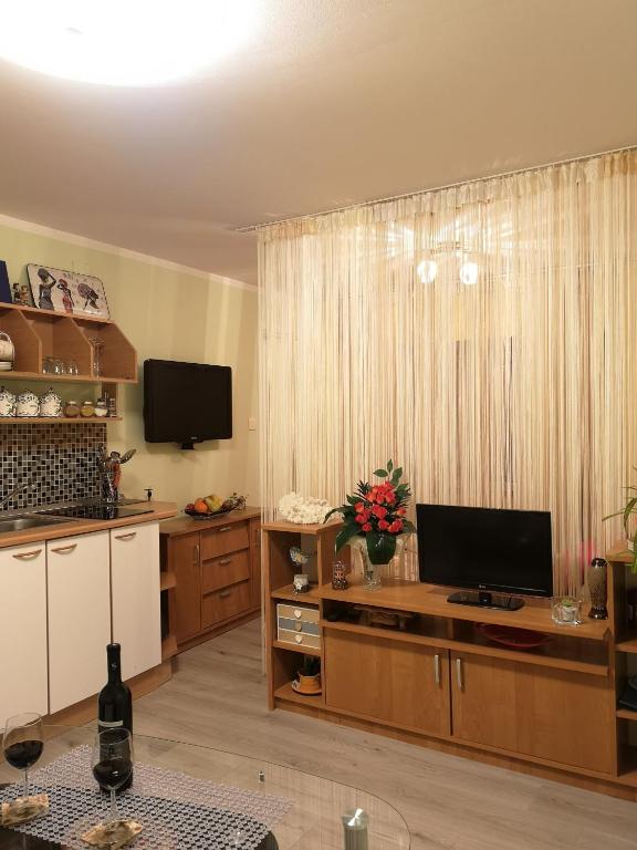 TV a/nebo společenská místnost v ubytování Apartman Sana