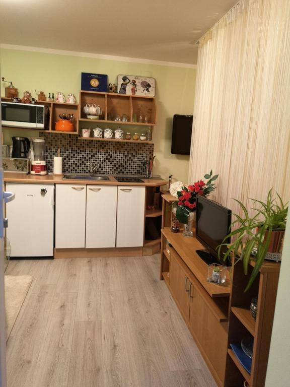 Kuchyň nebo kuchyňský kout v ubytování Apartman Sana