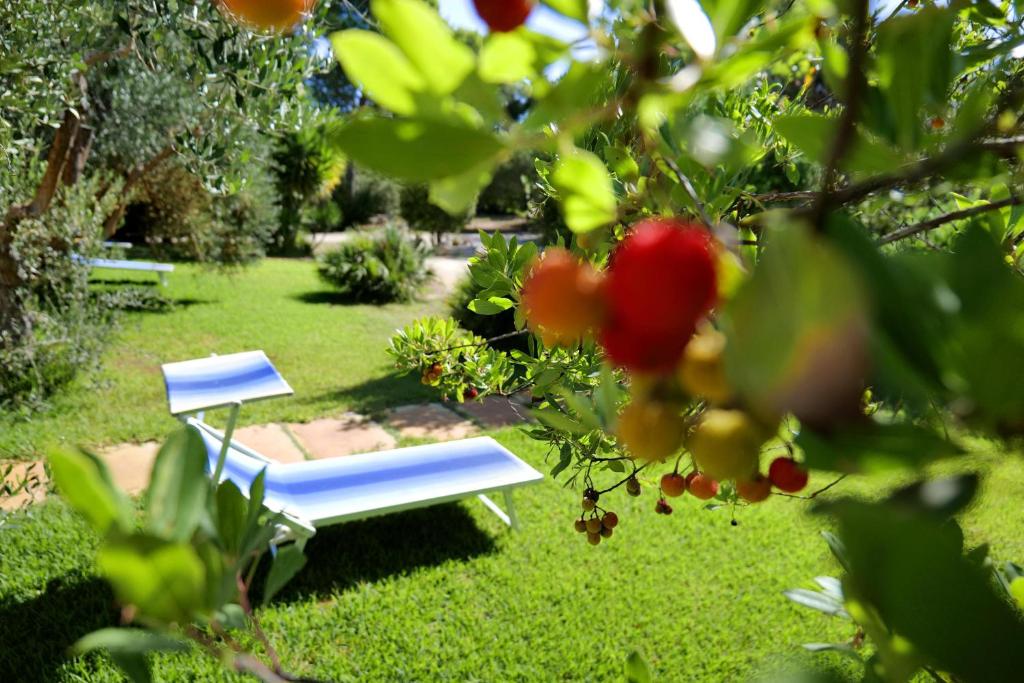 Missipezza Residence a Frassanito في أليميني: كرسي ازرق جالس في العشب في ساحة