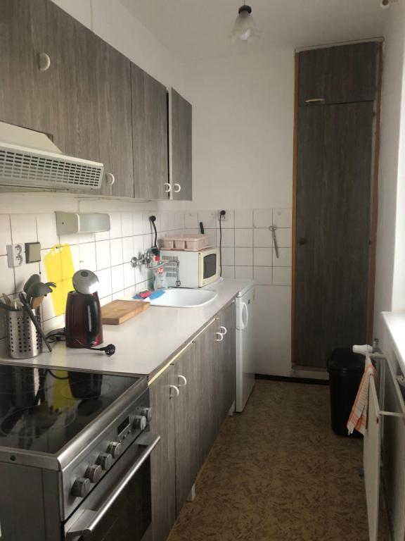 una cucina con piano cottura e forno a microonde di Apartmán Na Horách a Zlatá Olešnice