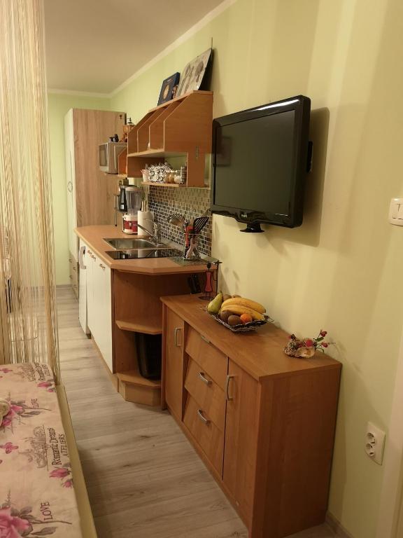 Kuchyň nebo kuchyňský kout v ubytování Apartman Sana