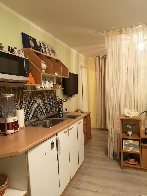 Kuchyň nebo kuchyňský kout v ubytování Apartman Sana