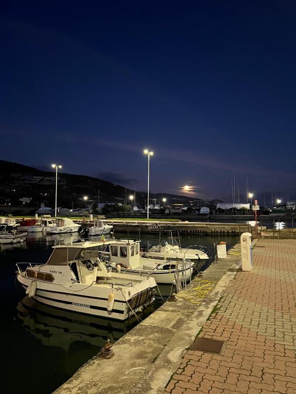 a group of boats docked in a marina at night at Luxury Tugurio in Arma di Taggia