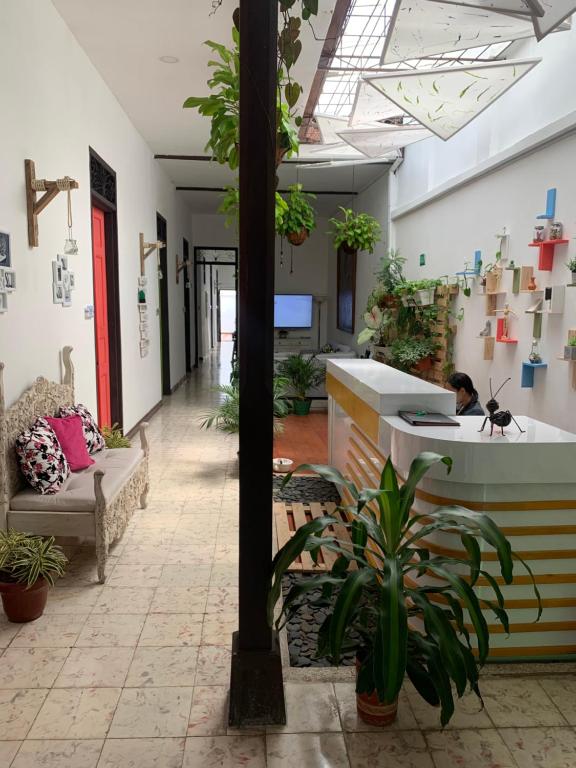 Posezení v ubytování Casa Blanca San Antonio Hostal Boutique