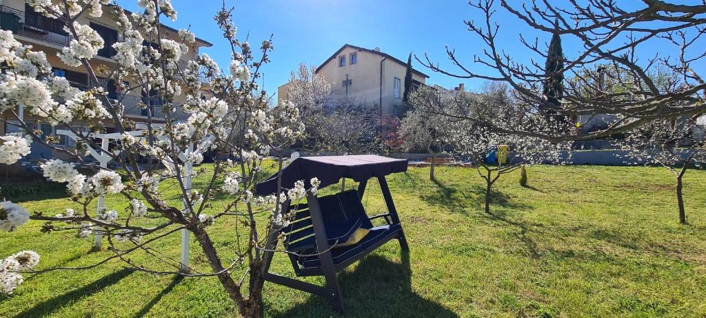 Ogród w obiekcie La Pergola
