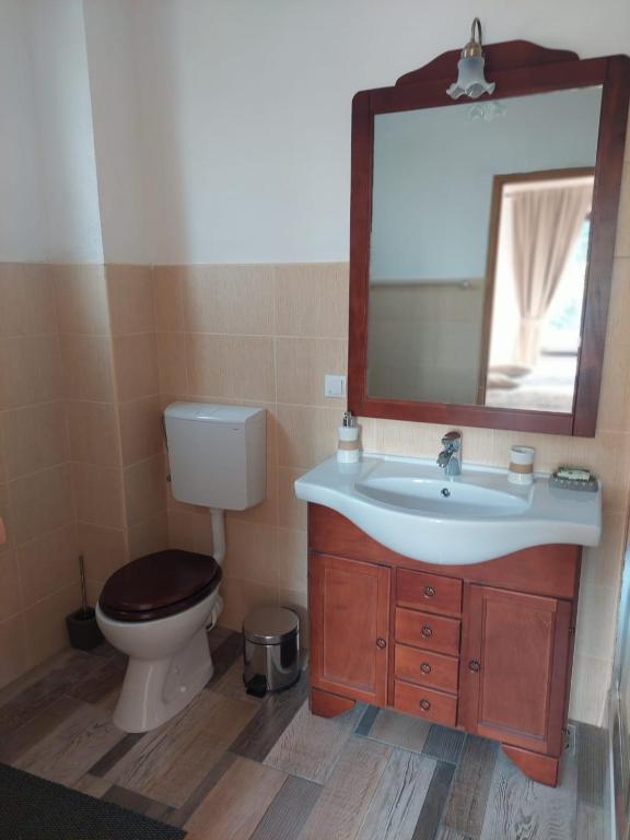 Koupelna v ubytování Casa Oaspeti Transfagarasan