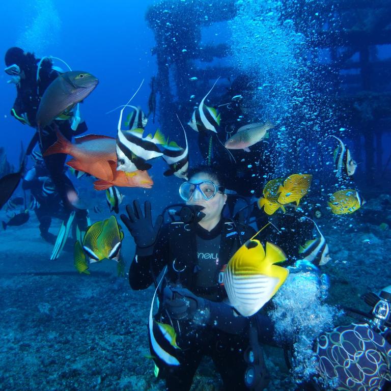 Hosté ubytování Green Island Ocean Rhythem dive B&B 綠島海韻民宿