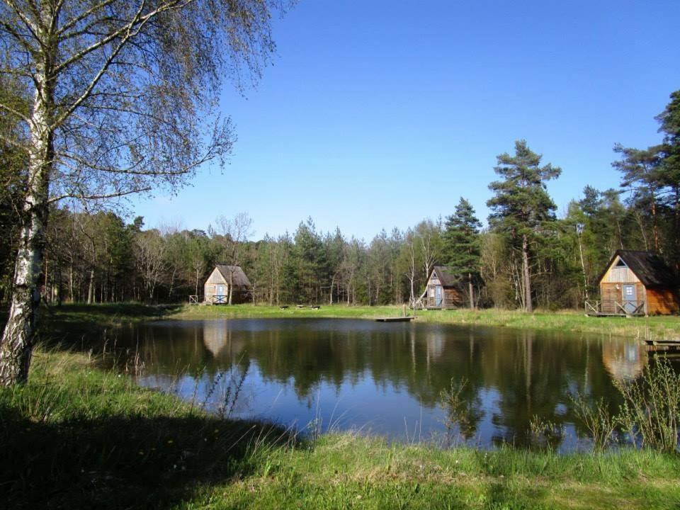 a lake with houses in the middle of a forest at Alva Stugby in Hemse