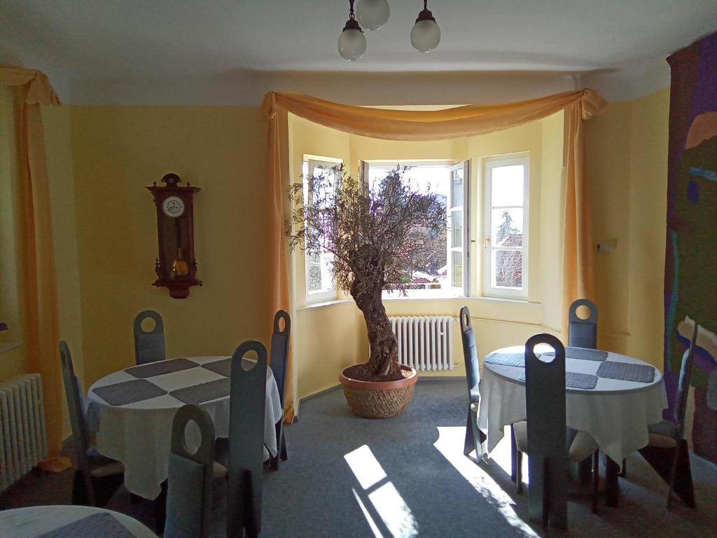 Pension Baron Schoeneck في كارلوفي فاري: غرفة طعام مع طاولة وساعة على الحائط