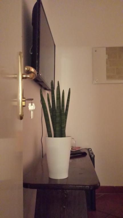 B&B Corte Dei Taralli - 4