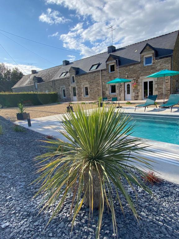 una casa con una palmera frente a una piscina en Les Chtis Bretons Chambres d hotes, en Trédion