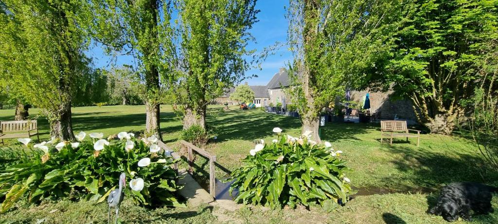 Zahrada ubytování Le Relais de la Comté
