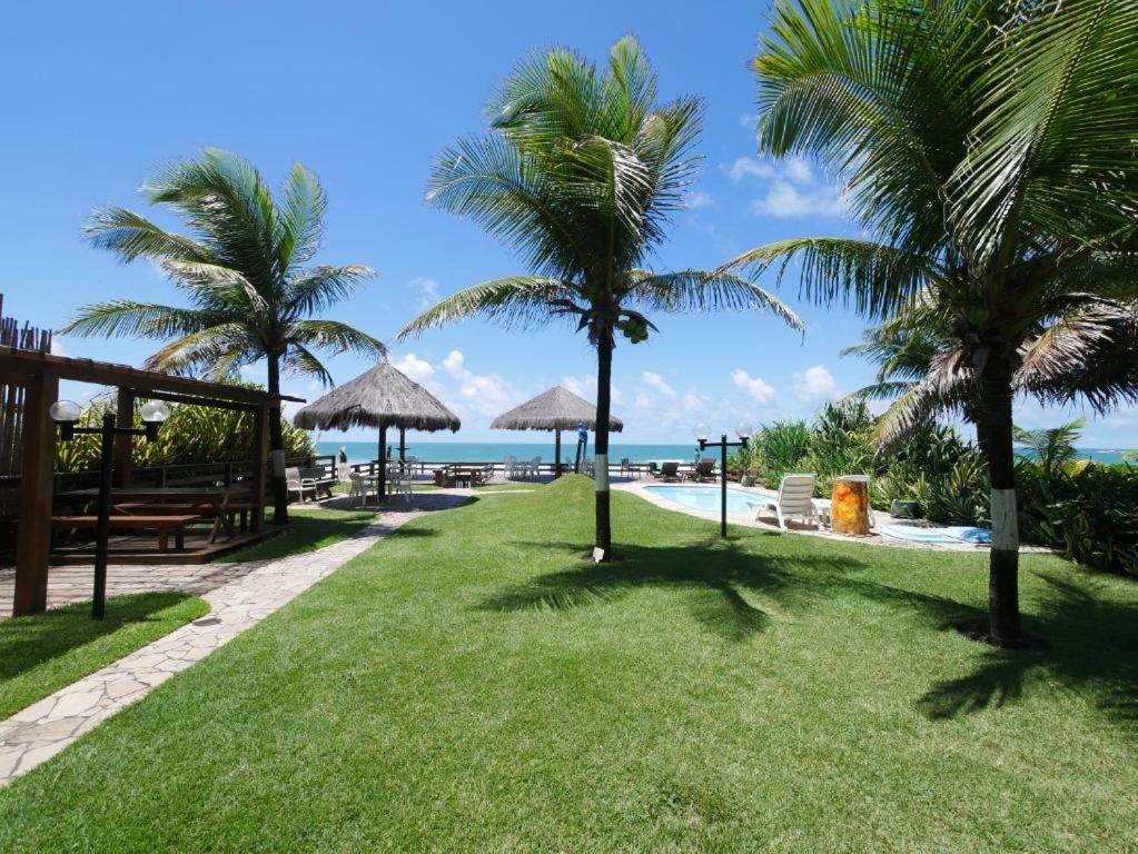 una zona de césped con palmeras y una playa en Mar a Vista en Porto De Galinhas