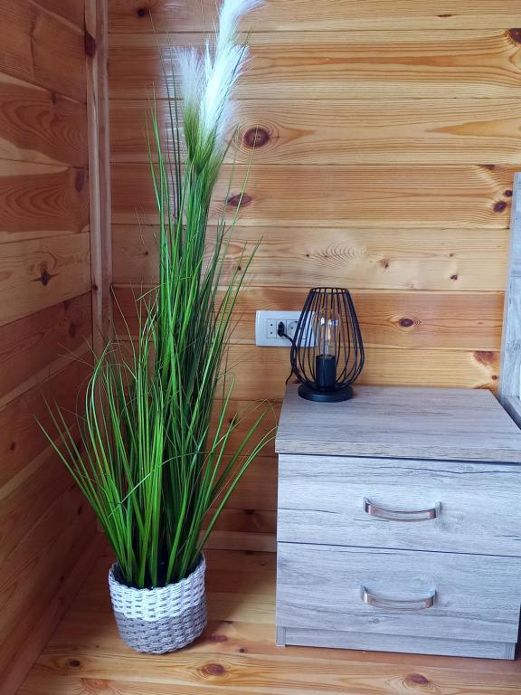 Fotografie z fotogalerie ubytování House ThoNi v destinaci Gornji Štoj