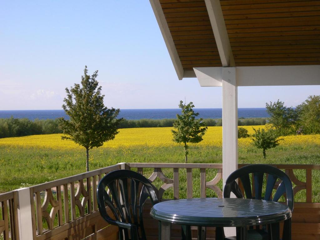 a table and chairs on a porch with a view of a field at Kalmar 6 in Kägsdorf