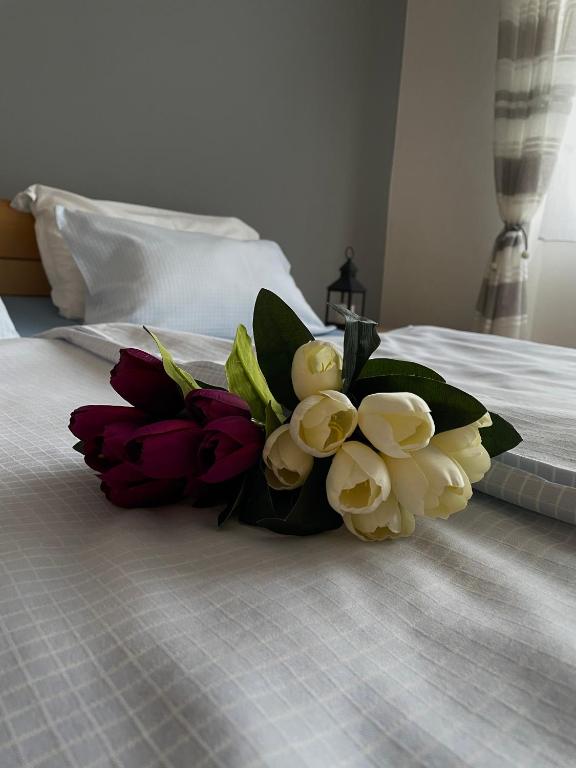 Letto o letti in una camera di Apartman Prima Sombor