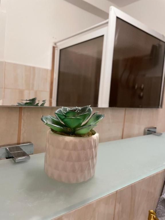 Foto dalla galleria di Apartman Prima Sombor a Sombor