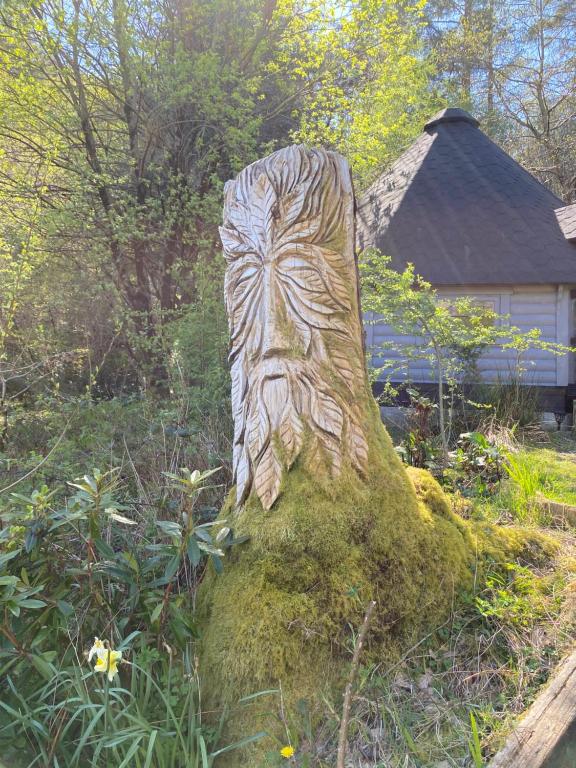 Zahrada ubytování Aos Sí Lodges