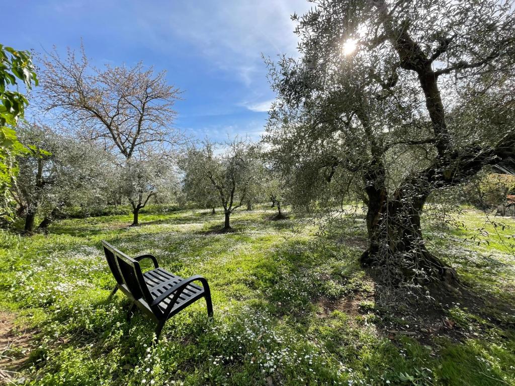 Ogród w obiekcie Magical villa, breathtaking views, large private garden and olive grove - in a cool village on the Umbria Tuscany Border