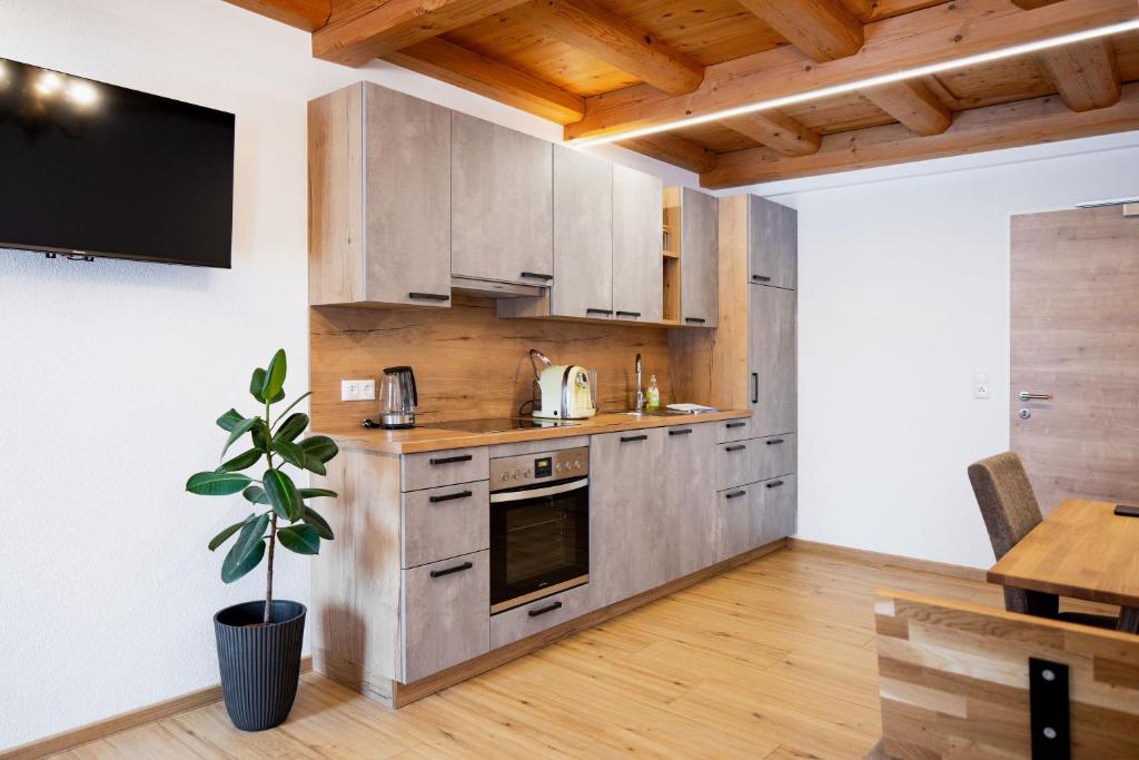 a kitchen with wooden cabinets and a potted plant at Grabmayrhof in Kremsmünster