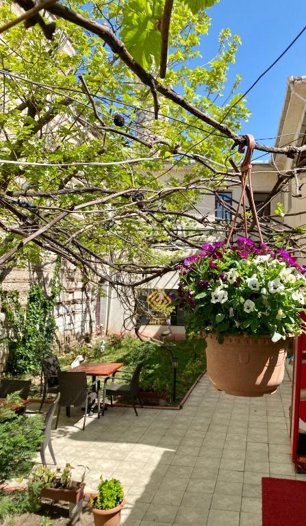 Zahrada ubytování Taşhan Hotel