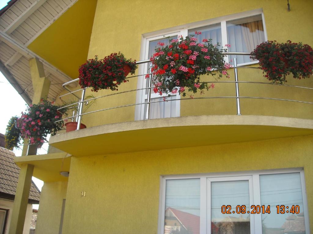 un edificio amarillo con 2 cajas de flores en un balcón en Casa Judith, en Turda