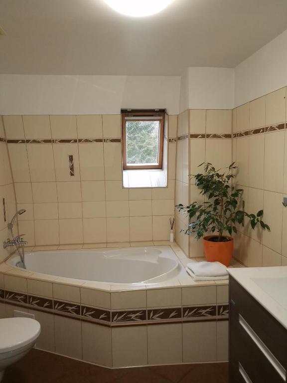 Koupelna v ubytování Apartmány Paseky - Jablonec nad Nisou