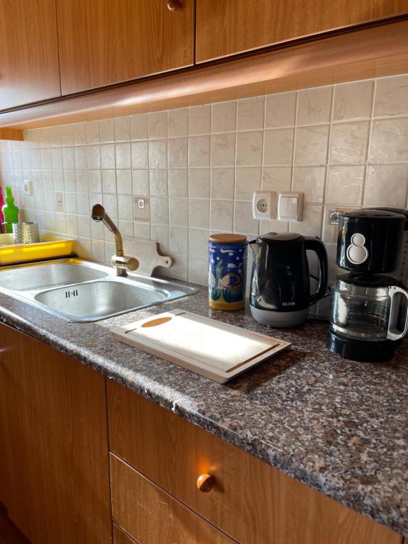 Kuchyň nebo kuchyňský kout v ubytování Alepochori Apartments