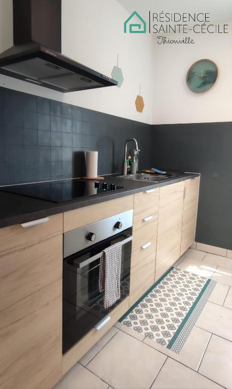 a kitchen with a stove and a sink at Résidence Sainte-Cécile in Thionville